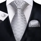 Hi-Tie Wholesale Silver Solid Silk Men Cravate Necktie