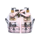 Set Bath Gift 2022 New Design Wholesales Private Label Set Bath Wire Basket Packaging Long Time Perfume Set Spa Set Gift