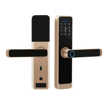 Smart Door Lock Waterproof TT Lock  Smart Biometric Fingerprint Door Handle Digital Keyless Lock