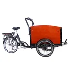 Electric Family Electric Cargo Bike Electric Ebike E-cargo Family For Delivery Food Delivery E-bike