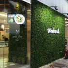Latest External Grass Wall 50cm X 50cm Artificial Green Wall Plants Outdoor And Indoor Ivy Wall Plant Decor