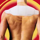 Neck Health Care Therapy Products Back Pain Relief Pads Neck Shoulder Warmer Patch