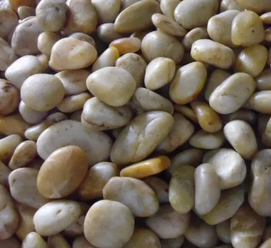 Acid & Alkali Resistant Natural Stone Polished Pebbles for Paving & Landscaping Cobbles & Pebbles