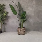 Factory Sale Various Widely Used Indoor Planting Wholesale Cement Flower Pot Nordic For Sale