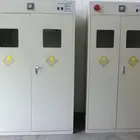 Chemical Chemical Storage Cabinet Laboratory Furnitures All Steel Gas Cylinder Storage Cabinet For Chemical