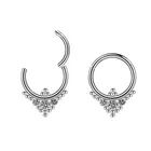 Piercing Jewelry Eternal Metal 16G 1.2MM ASTM F136 TITANIUM CZ Bezel Hinged Segment Hoop Rings Body Piercing Jewelry