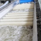 Fruit Washer Contibuously Non-stop Leafy Vegetable Fruit Lettuce Cabbage Bubble Washing Washer Cleaning Machine
