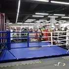 Ring 7*7*1 M Best Price Sell Training Boxing Ring Equipment Boxing Ring Fighting Game Ring