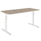 Desk School Electric Height Adjustable Table Desk Single Motor Electric Height Adjustable Desk School Table
