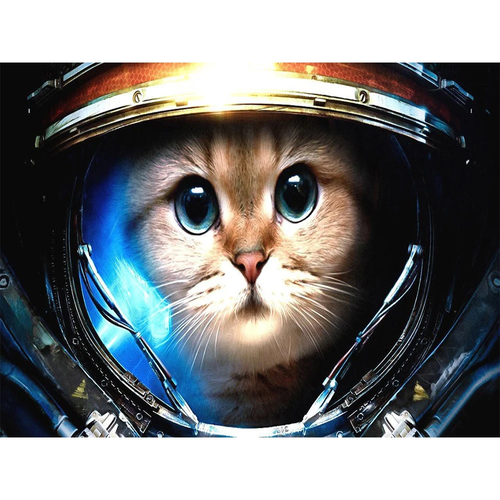 Мультик про Космонавта и кота