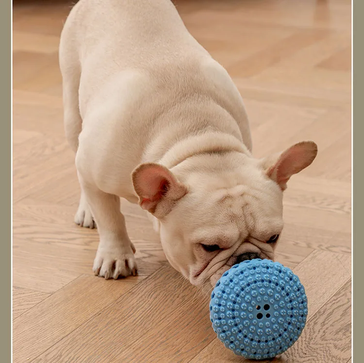 Funny dog toy dog food Leaky Ball Cleaning teeth pet toy