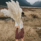 Flowers Customized Large Size Natural Dried Flowers Bouquet Pampas Grass