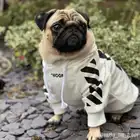 Winter Fashionable Plush Warm Autumn And Winter Wear Dog Collar Hoodie Pet Supplies Dog Clothes
