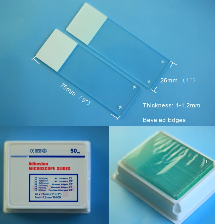 Laboratory Glassware Positively Charged Staining Cytology Glass