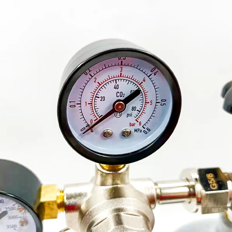 Economy Pressure Beer Regulator Dual Gauge with Rubber Protector factory