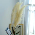 Decorative Factory Supply Hot Sale Decorative Flowers Dried Flower White Pampas Grass Decor