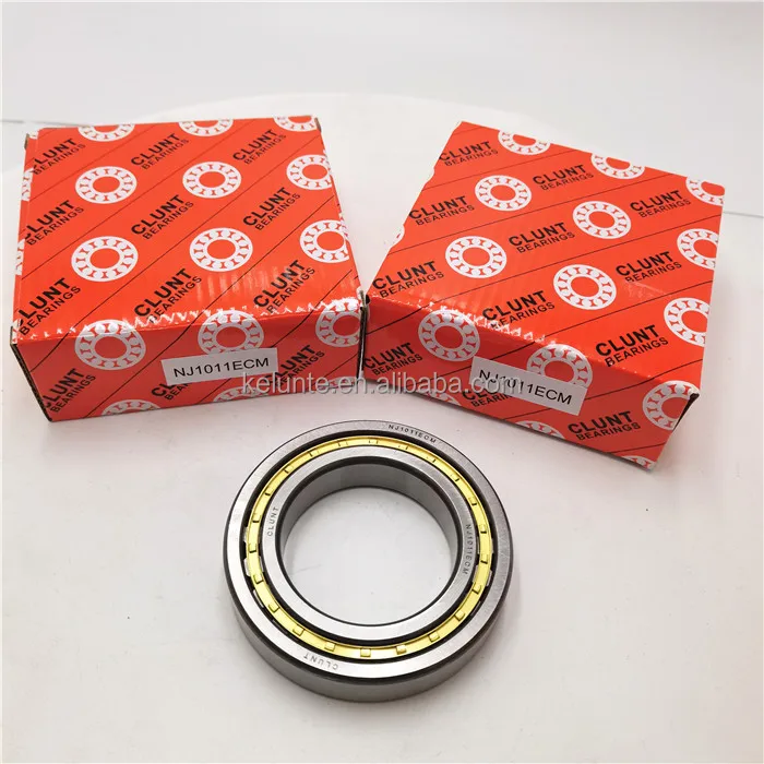 NJ1011ECM BEARING (5)