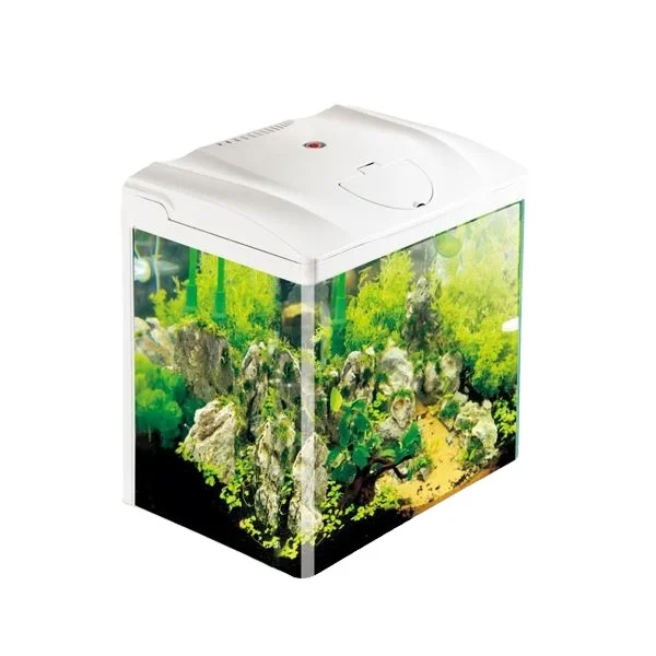 Sell Fish Tank atelieryuwa.ciao.jp