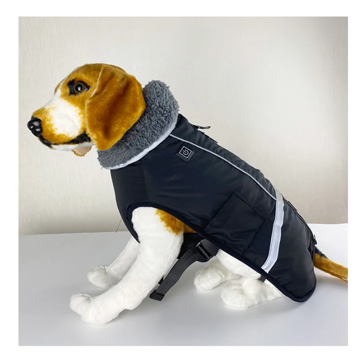 heated dog clothes