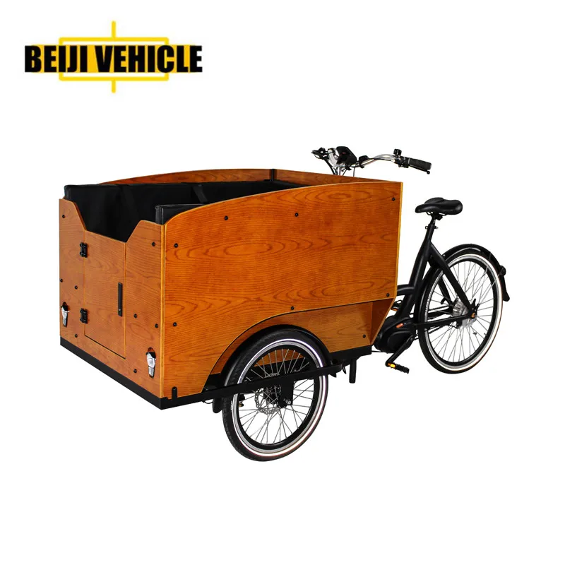 Electric Cargo Tricycle Bike 