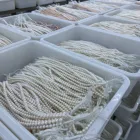 Pearl Jewelry Pearls Beads And Pearls Freshwater Pearl Loose Beads 5.0-6.0mm Round 3a+ For Jewelry Making Loose Pearls