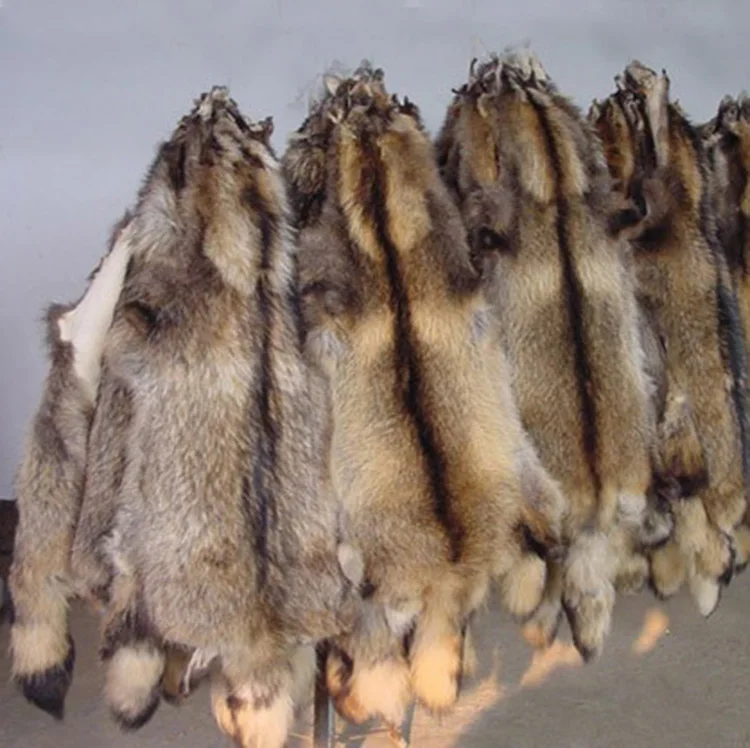 Factory Price Wholesale High Quality Big Size Fluffy Large Natural Animal  Pelt Raw Raccoon Fur Pelt - Buy Raccoon Fur Skins,Raccoon Fur Raw Fur Skins  Real Fox Fur Skin Animal Skins For