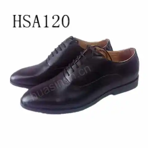 HSA120 (2)