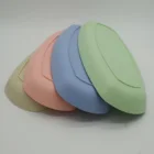 Plates Wholesale 4 Pcs Oval Eco-friendly Biodegradable Wheat Straw Plates Fruit Dish Fish Dish Set