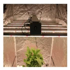 301b Best Grow Light Samsung 301b 800w 600w Full Spectrum Led Grow Light Product 8 Bars 2020 Spydr