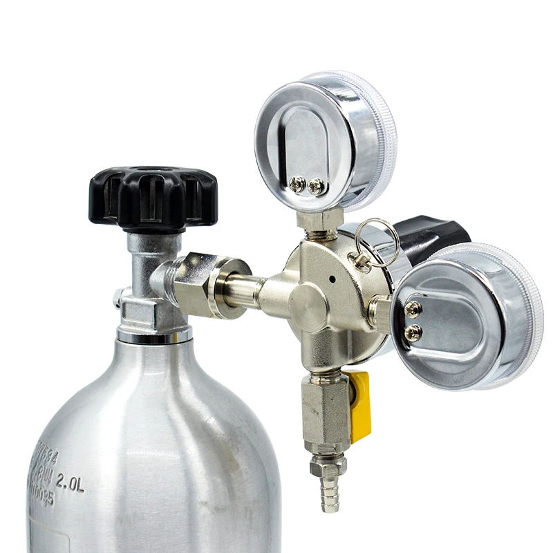 High-Service Dual Gauge Regulator for Suppliers in China Pressure Regulators supplier
