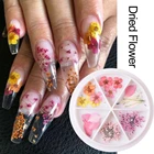 Nail Art 3d Nail 1 Wheel 3d Dried Flowers Nail Art Decorations Mixed Natural Floral Sticker Decals