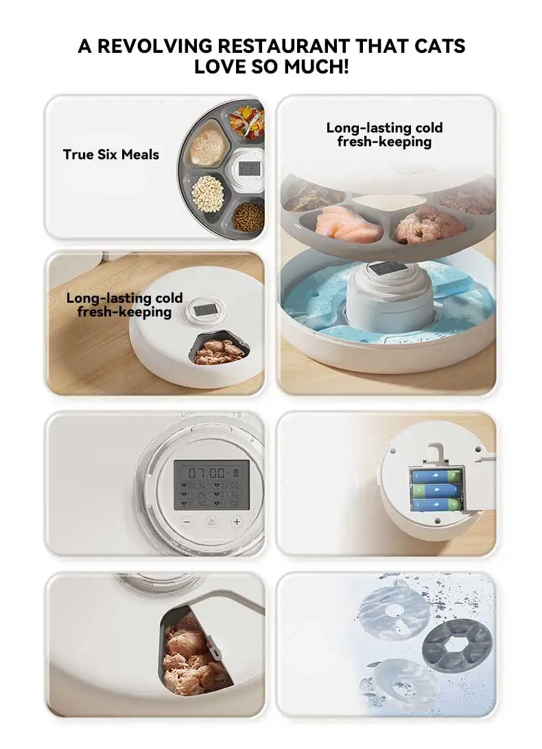 Hot Sale 6 Meal Pet Smart Feeder 24H Timing Cold Fresh Food Dispenser for Dogs and Cats Automatic Pet Feeding Supplies manufacture