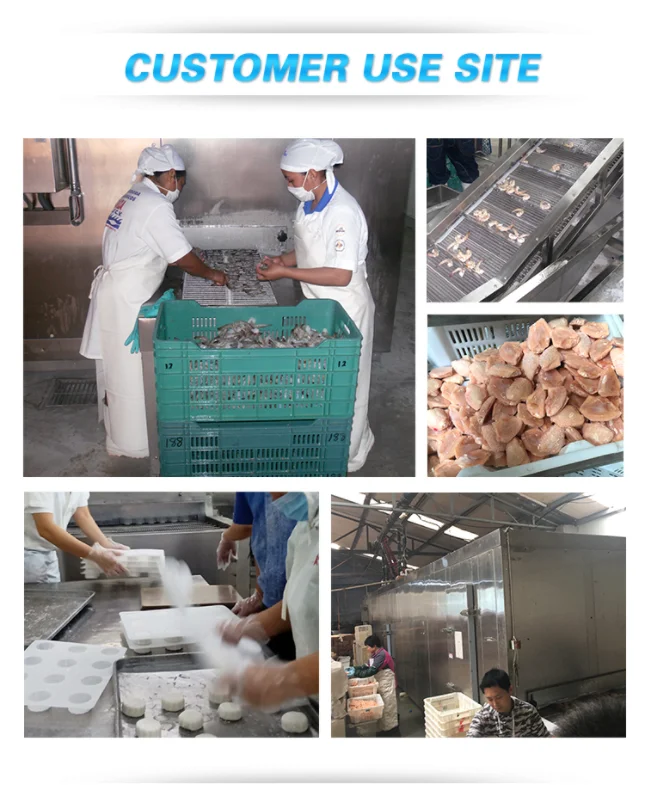 Ice Cream Tunnel Freezer, 220 V, customization - detail 12