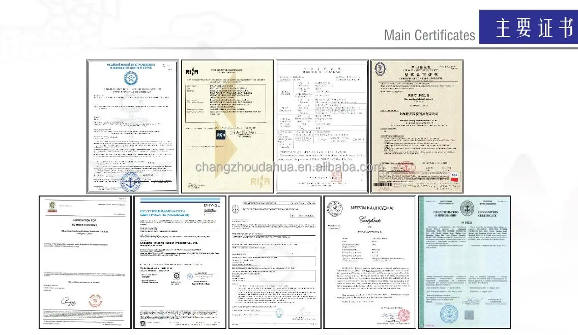 main certificate