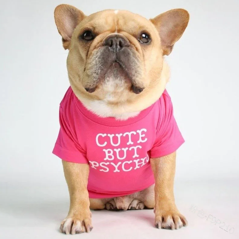 Dougez Summer Cute Pet Dog Clothes Thin T-shirt Cotton Dog Clothes Pet Clothes Teddy Wearing Vest manufacture