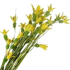 Flower Support Customization All Natural Arrangements Plant Handmade Dried Flower