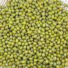 Beans Wholesale Premium Quality Green Mung Beans Medium Grains