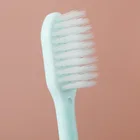 Used Family Cheap Super Soft Macaron Color Travel Toothbrush Set Adult Used In Family 10 Packed