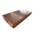 Copper C17200 CuBe2 TF Beryllium Copper Plate