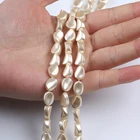 Sea Shell Beads AAA Grade Quality Sea Shell Beads