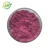 Organic Pink Freeze Dried Dragon Fruit Red Pitaya Powder