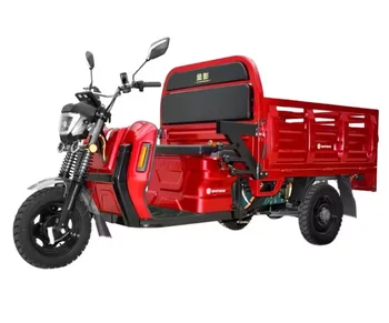 DLS150PRO cargo tricycle for cargo/agricultural products transportation skillful Electric Tricycles