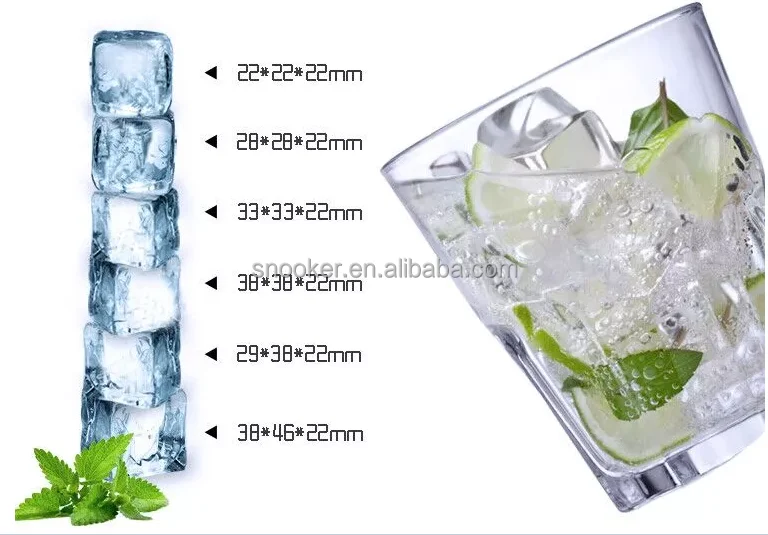 Ice Machine, 220V, SS 304L - detail 12