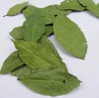 Wholesale OEM Well-known At Home And Abroad Health Herbs Flake Shape Myrcia