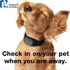 Gps Tracking Dog Gps Tracker Animal Eview Ev201m 4G NBIOT Gps Animal Tracking Dog Gps Tracker Collar