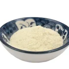 Haccp ISO22000 HACCP Certified Bifidobacterium Lactis Powder Factory Price Best Probiotic Products Wholesale