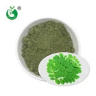 Moringa Organic Moringa Powder Where To Buy Moringa Powder Pure Natural Plant Organic Moringa Leaf Powder