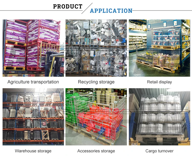 NF 1 cage pallet 4