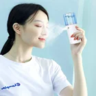 Mist High Quality Custom Private Label Ionic Facial Steamer Nano Cool Mist Usb Face Steamer