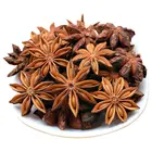Quality Naturally Dried Star Anise Spice Star Anise Aniseed Seasoning